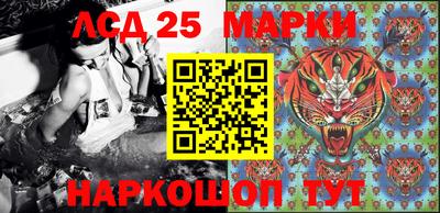 хмурый Апшеронск