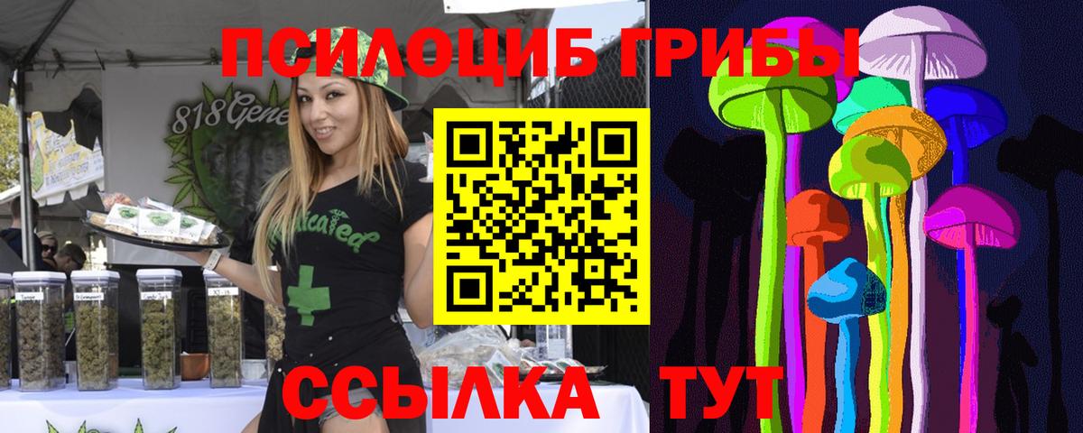 Псилоцибиновые грибы мухоморы Волжск